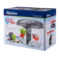 Aqueon Betta Bowl Kit Black .5 gal I014860