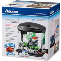Aqueon MiniBow Black Aquarium Kit I014862b