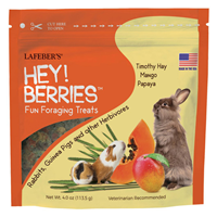 Hey! Berries Fun Foraging Treats 4 oz. I015147