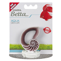 Marina Betta Sea Shell Ornament I015316