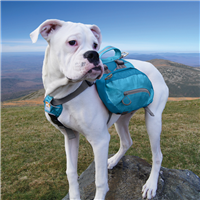 Kurgo Baxter Backpack