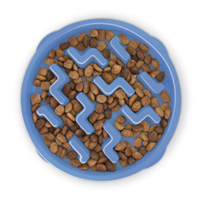 Outward Hound Fun Feeder Slo-Bowl Large Blue I016303