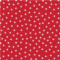 Twinkle Stars Red Pet Triangle