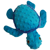 SungARooz Tucker the Turtle I016647