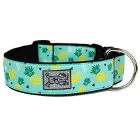 RC Pet Products Pineapple Parade Wide Clip Collar  I016781b