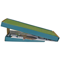 Scratch-n-Sniff Single Cat Scratcher  I016874