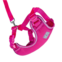 RC Pet Products Adventure Kitty Harness Berry I017381b