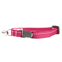 RC Pet Products Primary Kitty Breakaway Collar Raspberry  I017391