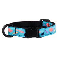 RC Pet Products Kitty Breakaway Collar Shoal  I017397