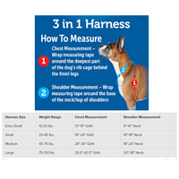 PetSafe 3 in 1 Harness Black Small