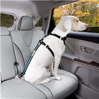 Kurgo Direct to Seatbelt Tether Blue  I018034