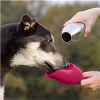 KONG H2O Stainless Steel Dog Water Bottle Red 25 oz.