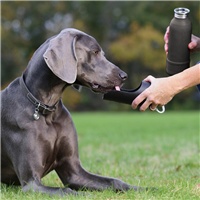 KONG H2O Stainless Steel Insulated Dog Water Bottle Yellow 25 oz.