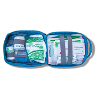 Kurgo RSG First Aid Kit
