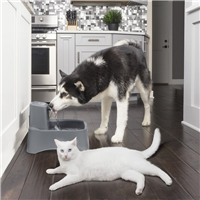 PetSafe Drinkwell Pet Fountain 2 gal