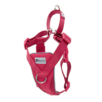 RC Pet Products Tempo No Pull Harness Azalea I019956b