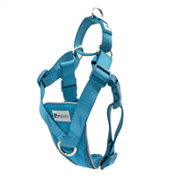 RC Pet Products Tempo No Pull Harness Teal I019960b