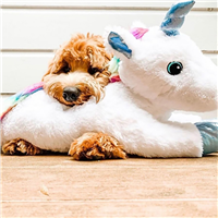 Multipet Jumbo Unicorns Dog Toy