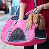 Bergan Comfort Carrier Berry Small 16" X 8" X 11"