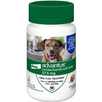 Elanco Advantus Flea Treatment Soft Chews for Large Dogs I013398b