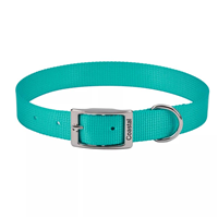 Coastal Single-Ply Dog Collar Teal I018893b