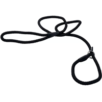 Coastal Black Rope Slip Leash 1/2" X 6&lsquo; I019003