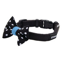 Coastal Li&lsquo;l Pals Black with White Polka Dot Bowtie Microfiber Dog Collar I019056b
