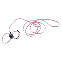 Coastal Li&lsquo;l Pals Dasiy Adjustable Kitten Harness & Leash Combo I019305