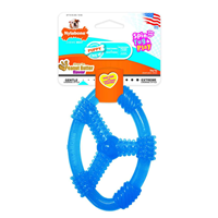 Nylabone Puppy Chew Spin Tug  & Play Toy  Peanut Butter Flavor Medium/Wolf I020353