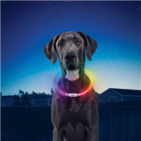 NiteHowl Rechargeable LED Disc-O Safety Necklace I020386