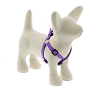 Lupine Jelly Roll Step In Dog Harness I020806b