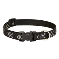 Lupine Bling Bonz Adjustable Dog Collar I020809