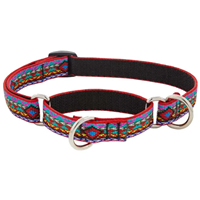 Lupine El Paso Martingale Combo Collar I020824b