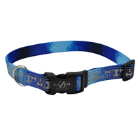 Coastal Lazer Brite Blue with Bones Patterned Collar I020935b