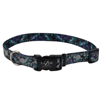 Coastal Lazer Brite Galaxy Patterned Collar I020936b