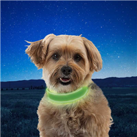 Nite Ize NiteDog™LED Rechargeable Collar Medium - Green I022251