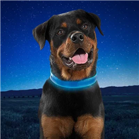 Nite Ize NiteDog™ XL Collar Blue LED Rechargeable 24-28" I022254