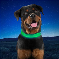 NiteDog™ XL Collar Green LED Rechargeable 24-28" I022255