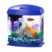 Aqueon LED MiniBow Desktop Aquarium Blue 1 Gallon