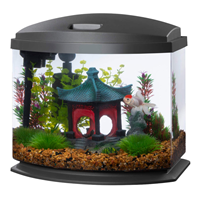 Aqueon LED BettaBow Desktop Aquarium Kit Grey 5 Gallon I023503