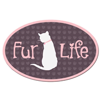 Dog Speak Fur Life Cat Oval Shaped Magnet I023841