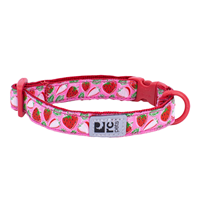 Rc Pet Products Kitty Breakaway Collar Strawberries I024030