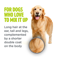 TropiClean PerfectFur Combination Coat Shampoo 16 oz.