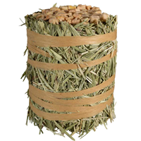 Kaytee Field+Forest Mini Hay Bale 1pk Apple I026429