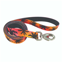 Coastal Sublime  Palm Sunset Lead 1 x 6 I026884