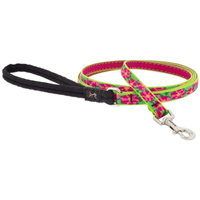 Lupine Petunias Dog Leads I027354b