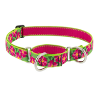 Lupine Petunias Martingale Combo Collar I027359b