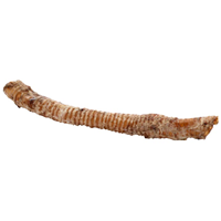 Butcher&lsquo;s Block Whole Trachea Dog Treats 14-18” I029572