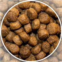 ShoreWay Lamb & Brown Rice Dry Dog Food 5 lbs.