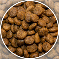 ShoreWay Salmon & Brown Rice Dry Dog Food 20 lbs.